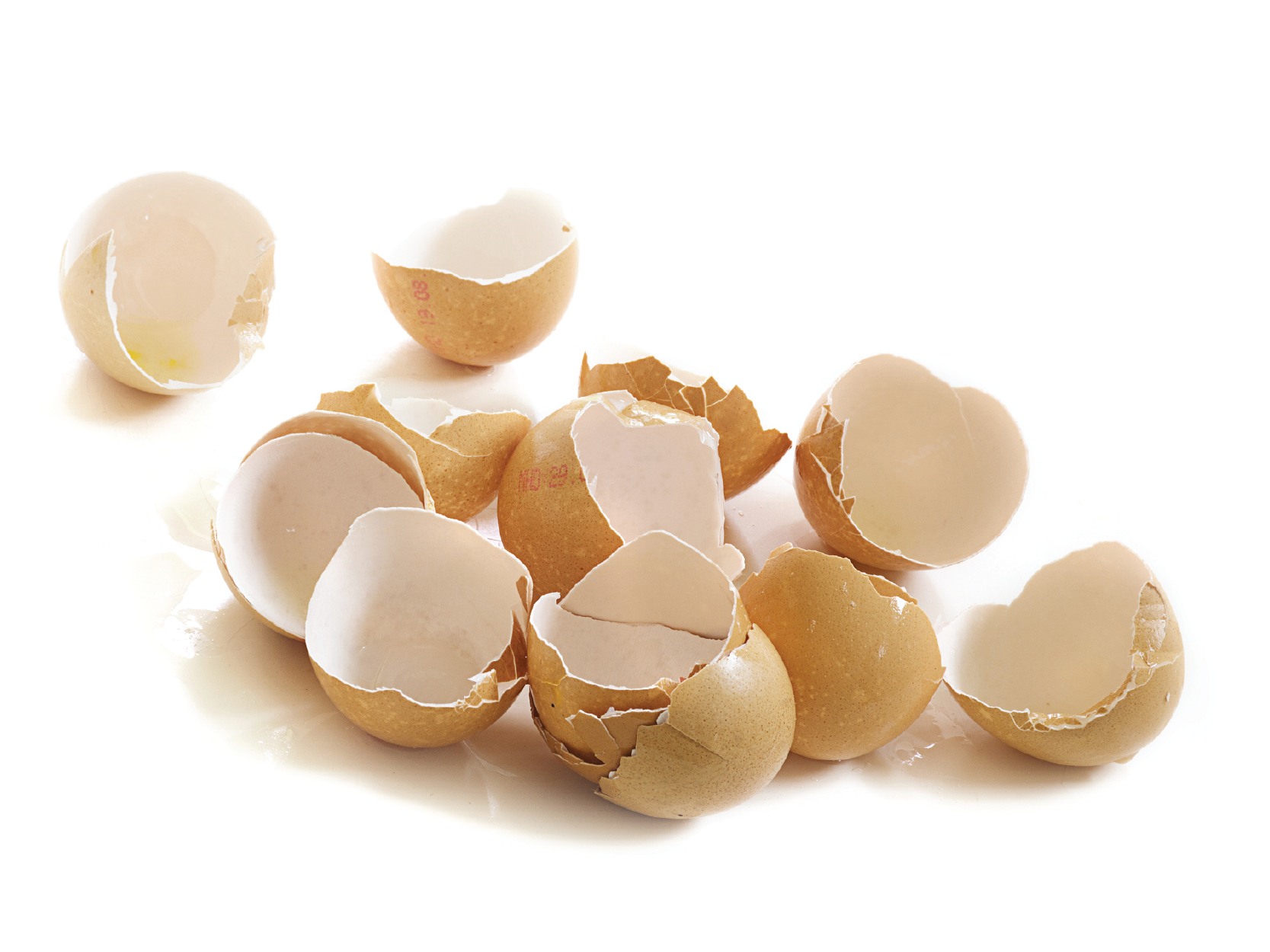 NEM® Natural Eggshell Membrane