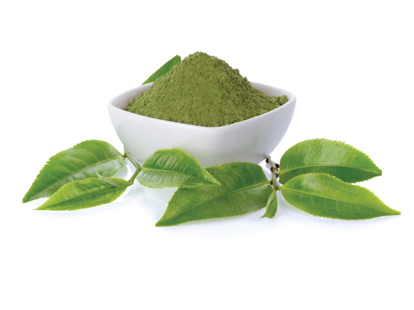 Green Tea Extract