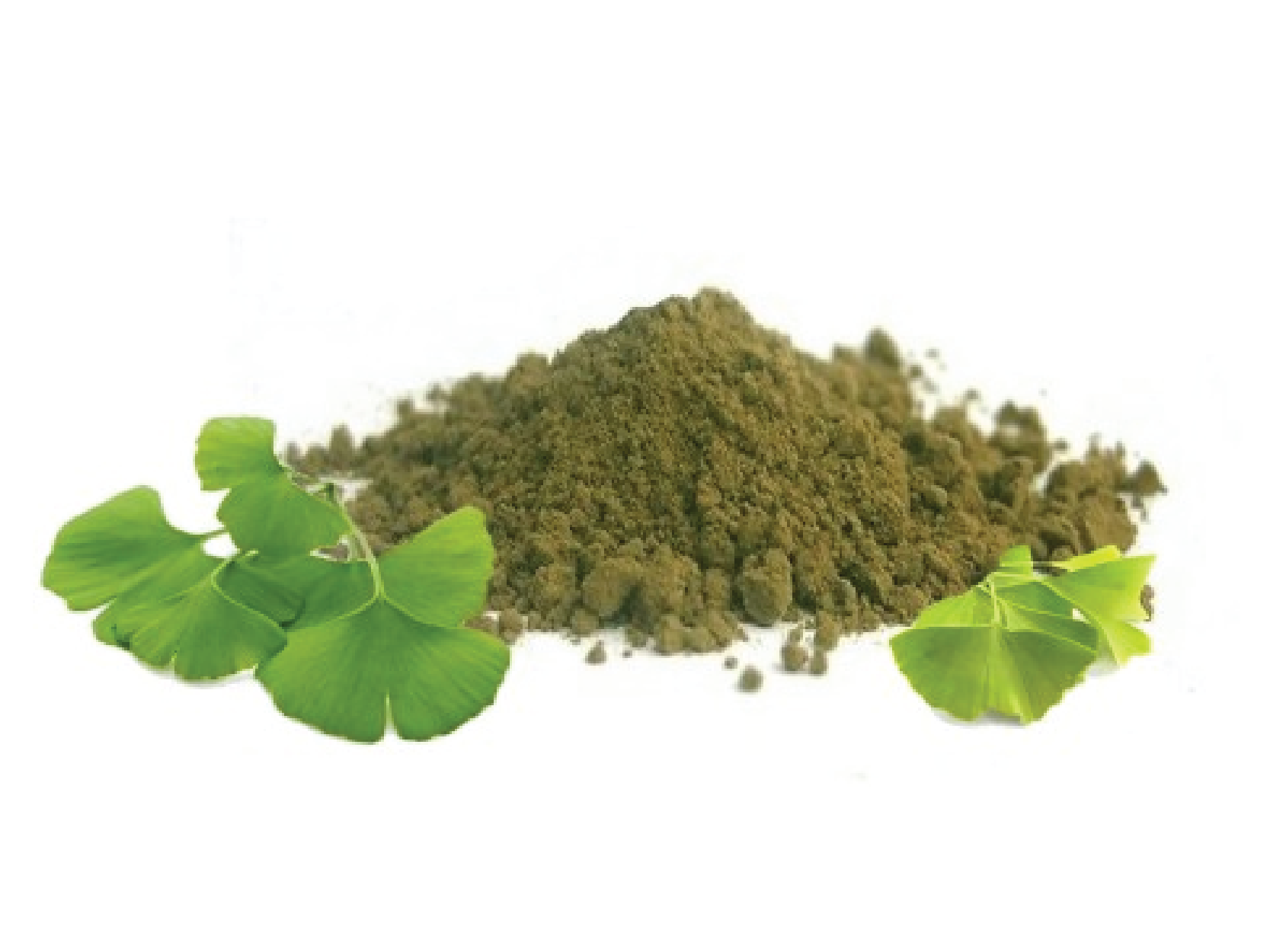 Ginkgo Biloba Extract