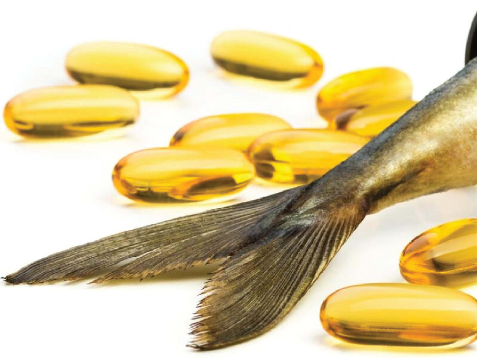 Fish Oil