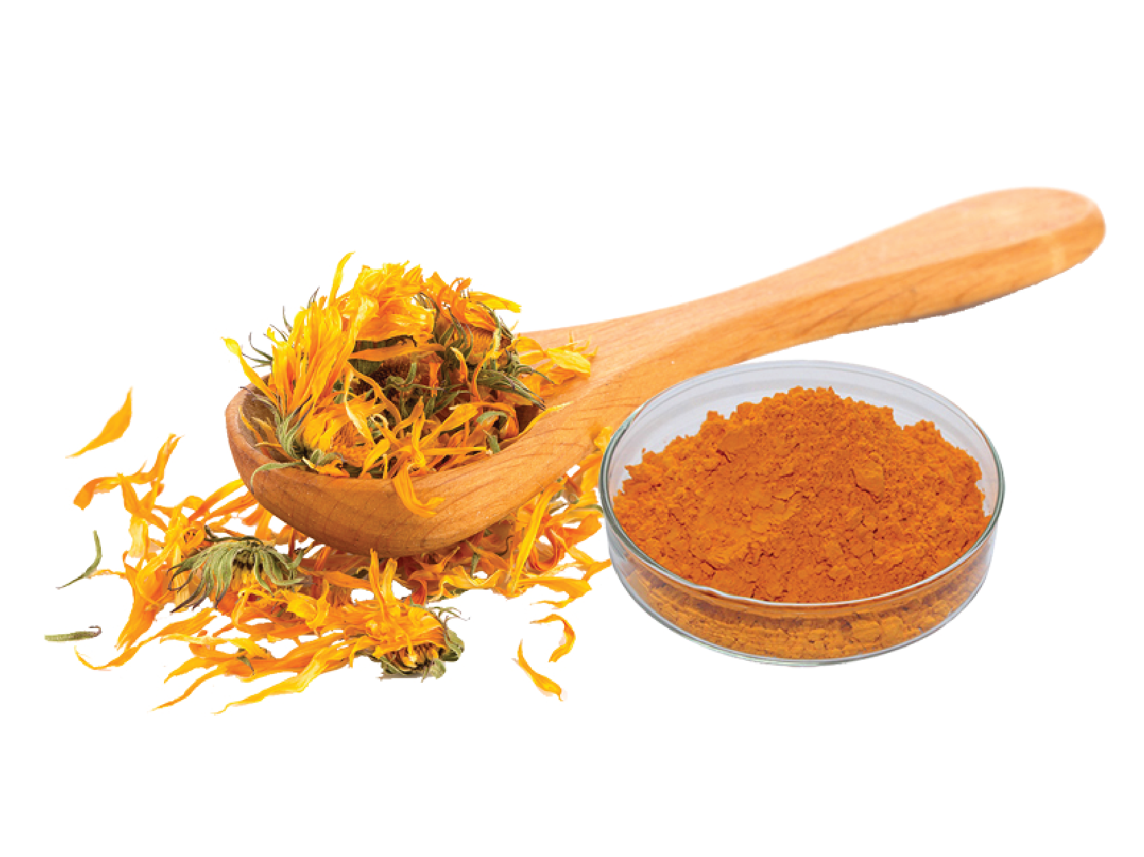 Marigold extract