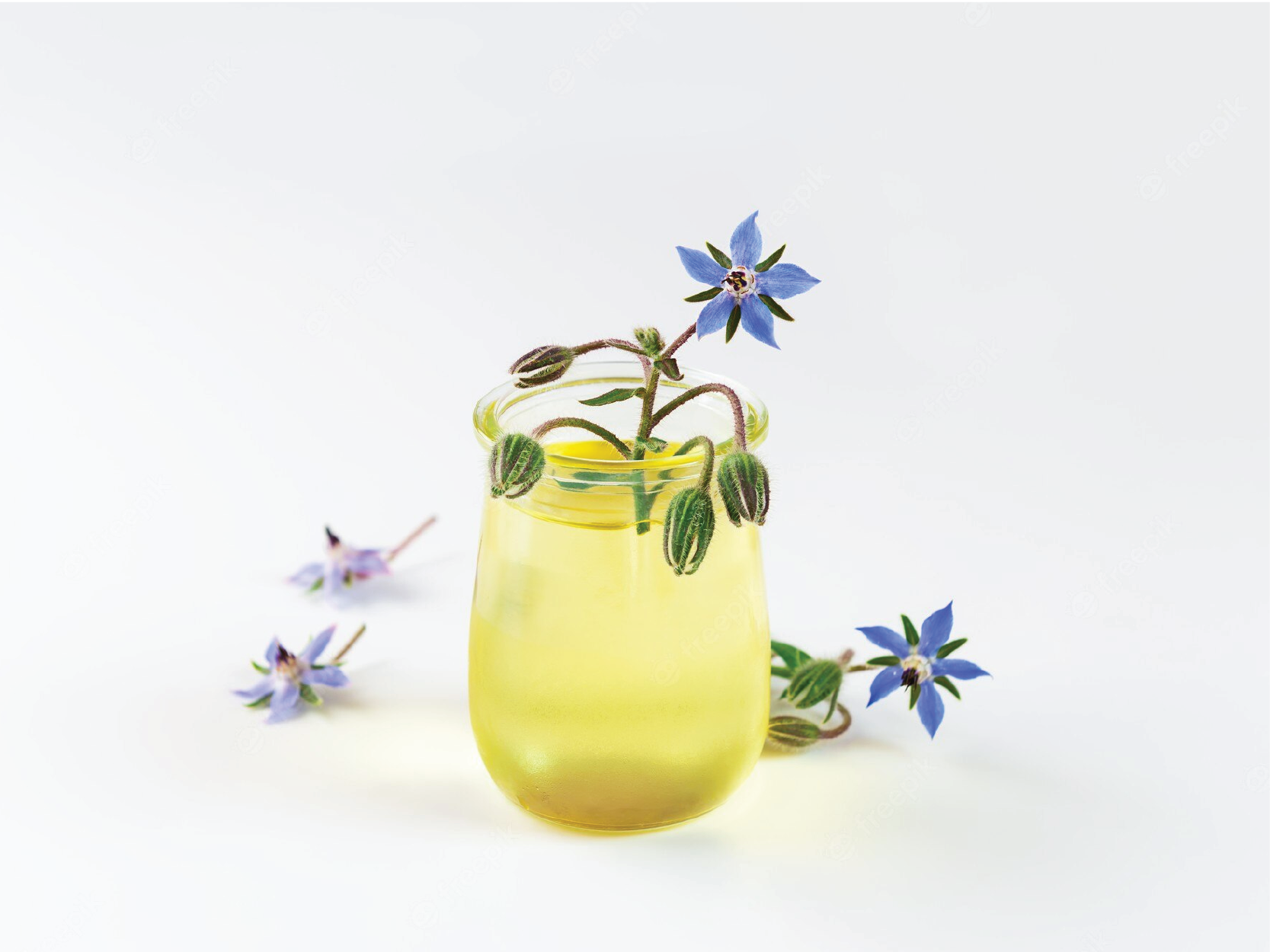 Borage oil