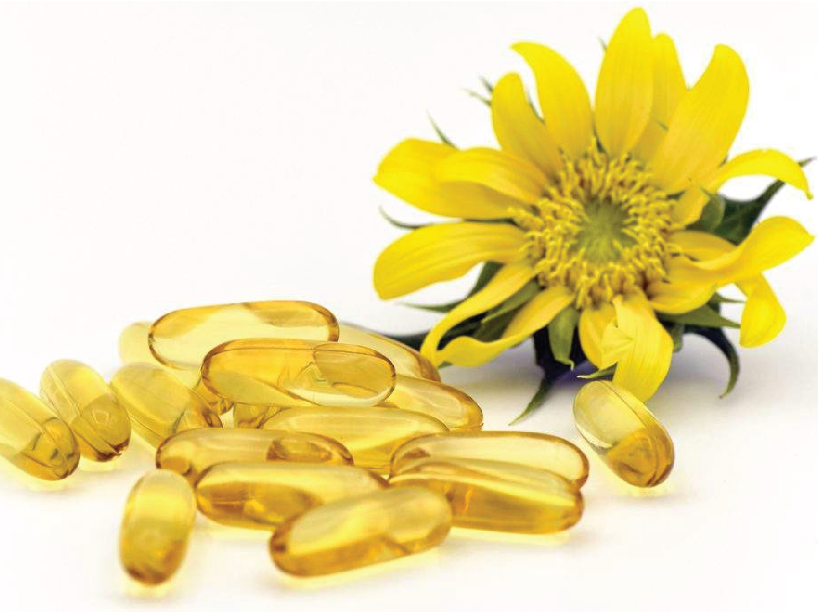 Evening primrose oil/ extract