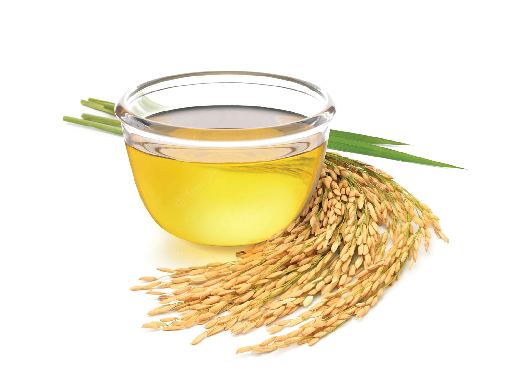 Rice bran oil