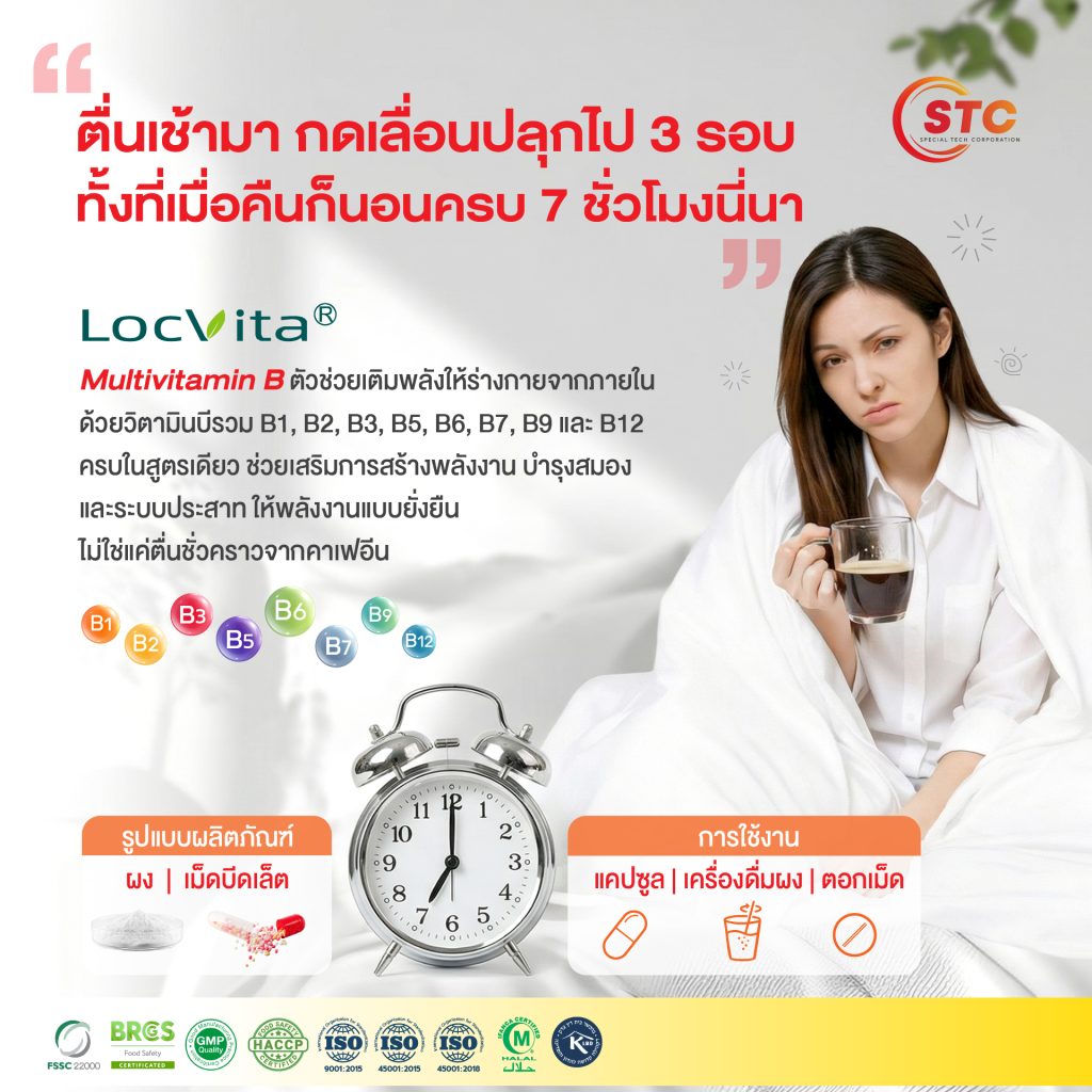 LocVita® Multivitamin B